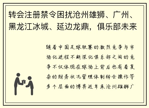 转会注册禁令困扰沧州雄狮、广州、黑龙江冰城、延边龙鼎，俱乐部未来何去何从？