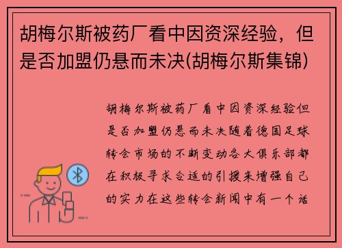 胡梅尔斯被药厂看中因资深经验，但是否加盟仍悬而未决(胡梅尔斯集锦)