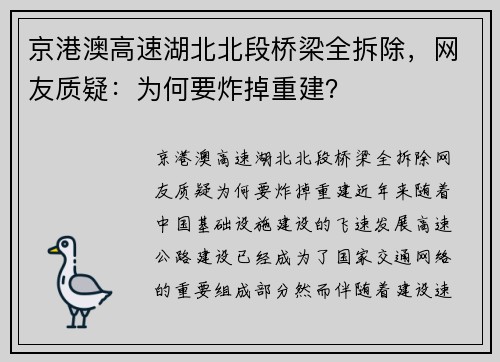 京港澳高速湖北北段桥梁全拆除，网友质疑：为何要炸掉重建？